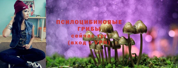 spice Балабаново