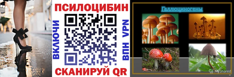 Псилоцибиновые грибы прущие грибы  наркошоп  Пустошка 